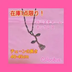 【24時間以内・匿名配送】美女と野獣風 ローズチャーム シルバーネックレス