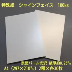 特殊紙、シャインフェイス180kg、A4、2種×各30枚（表面淡いパール調光沢）
