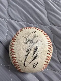 Item thumbnail for item 6d3abfe6-228f-4a06-9e14-e5579d1fa642