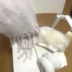 写真用　白3セット
