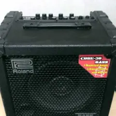 【完動品】Roland CB-30 ローランド CUBE-30 ベースアンプ Roland CUBE-30 BASS CB-30 ベースアンプ