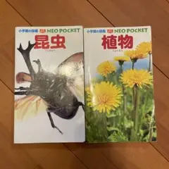 ネオぽけっと図鑑　昆虫　植物