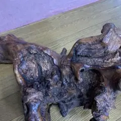 Item thumbnail for item 28438221-3362-485b-96a7-bff655523f43