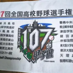 甲子園 大会タオル 第107回