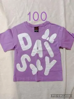 ベビードール　DAISY Tシャツ 100cm