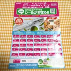 DAISO シールキャンペーン 35枚 貼付け済み