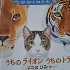 月刊かがくのとも10月～12月号
