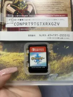ポケモン　剣盾　ソード