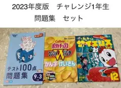 2023年度版　チャレンジ1年生　テスト100点問題集9〜3月セット