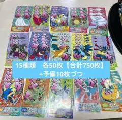 ポケモンセンター　メガシンカ　チラシ　フライヤー　フェスティバル　15種×50枚