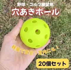 野球・ゴルフ練習用 穴あきボール 20個セット