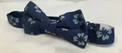 Item thumbnail for item db63be68-261b-434f-99aa-8166a90b3481