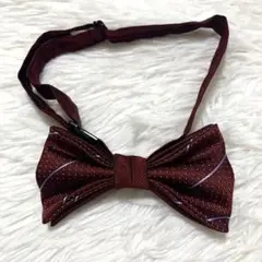Item thumbnail for item cd98eed2-ea2c-447f-a9ef-66ad220738ba