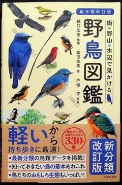 貴重昭和53★野鳥観察図鑑/大自然へのパスポート★ 朝日ソノラマ/高野伸二★当時 貴重昭和53☆野鳥観察図鑑/大自然へのパスポート☆ 朝日ソノラマ