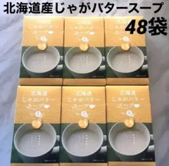 48袋 北海道 北見市 じゃがバタースープ