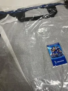 Item thumbnail for item 91ee220b-d77b-460e-8814-f5abe2bd2118
