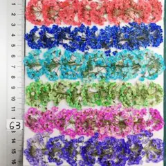 スーパーアリッサム　染め 　No63 　押し花 押し花素材 @¥850