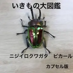 2025年最新】ムシキングフィギュアの人気アイテム - メルカリ