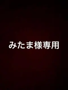 みたま様専用