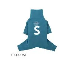 Item thumbnail for item dc8ff844-e4d7-419b-b808-123c22e41e13