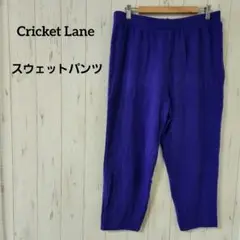 Cricket Laneスウェットパンツストレート✨パープルゆったりシルエット