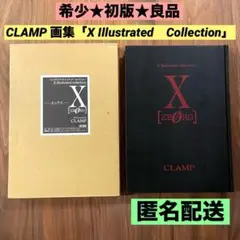 2025年最新】エックスイラストレイテッドコレクションの人気
