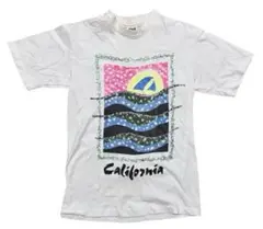 90s ONITA USA製 グラフィックプリント シングルステッチ tシャツ