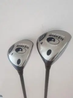 Item thumbnail for item 67e3cac9-9f57-4803-8e4e-47febb3b330a