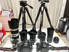 Canon 5D mark3 8000D 2台フルセット