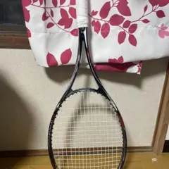 ネクシーガ70v limited SL2