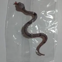 ♯Jpi19FT　不思議生物大百科毒牙の暗殺者毒ヘビシークレット入7種 不思議生物大百科 毒牙の暗殺者 毒ヘビ｜商品情報｜タカラトミー