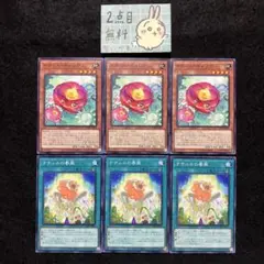 遊戯王　ナナナ　19枚セット　未開封　プロモ　希少　引退品　高騰　777枚限定 遊戯王 ナナナ 19枚セット 未開封 プロモ 希少 引退品 高騰 777