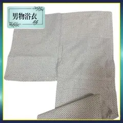 Item thumbnail for item 5200abd1-eaf9-490f-b651-c0a81fde3378