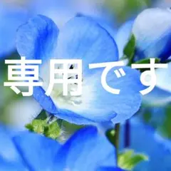 【IL BISONTE 長財布】ロングウォレット ブラック 黒 大容量 シボ革