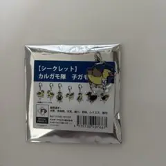 カルガモ隊 水野達稀