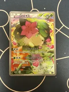 シェイミ　cp5