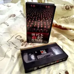 No.25 世にも奇妙な物語 SMAPの特別編 VHS
