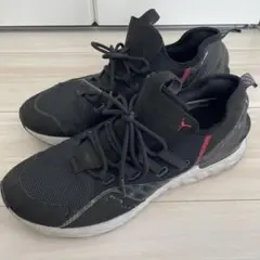 JORDAN reactジョーダンリアクト28センチ