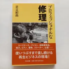 プロフェッショナルな修理