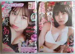 【宮崎あみさ 2冊・美品】【クリアファイル】【別冊写真集】山田かな