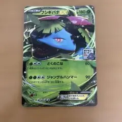 フシギバナEX PROMO XYシリーズプロモーションカード PROMO 23…