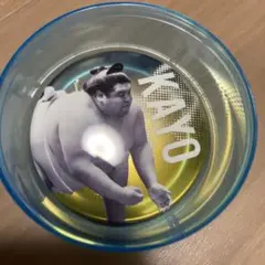 大相撲ガチャガチャ　缶バッジ　嘉陽