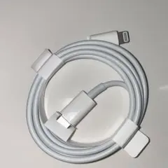 正規品 Apple ライトニングケーブル タイプC 充電器