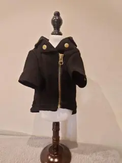 Item thumbnail for item 2b0dac1b-f31e-4bf6-99a1-f83820179b8a