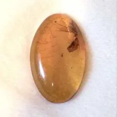 虫入り琥珀