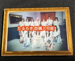 集合 櫻坂46 承認欲求 ランダム額縁 マグネット