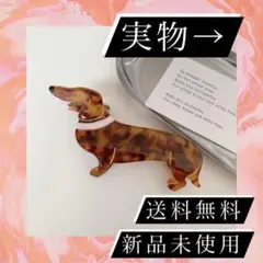 ダックス 犬 わんこ ヘアクリップ 髪留め ヘアアクセサリー 神崎恵 愛用