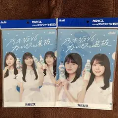 乃木坂46 カルピス クリアファイル