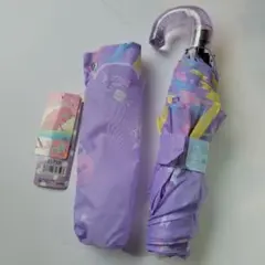 Item thumbnail for item 0e0f6940-0fe1-4ea2-8ea5-4edfc044fd3e