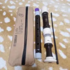 Item thumbnail for item d40c8a40-db40-4bc4-8c0c-8d34777099d9